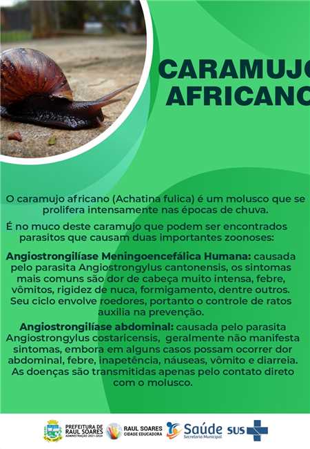 COMBATE AO CARAMUJO AFRICANO